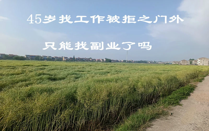 45岁去找工作，被人拒之门外了，我该找副业吗？