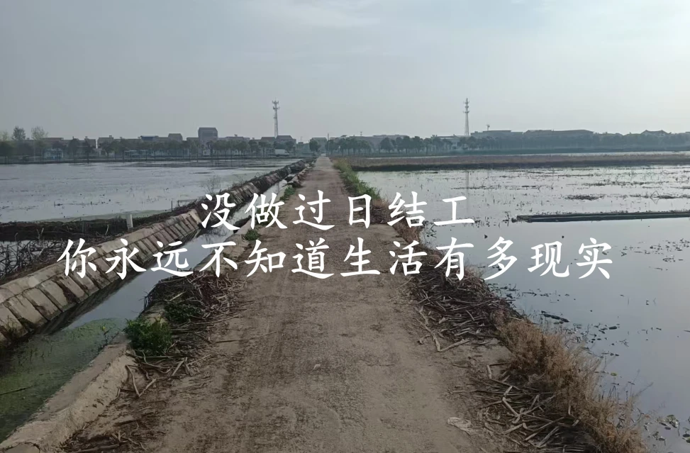 不干一次日结临时工，你永远都无法真正理解，那一百多块钱究竟有多难挣